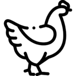 icon đá gà qs88