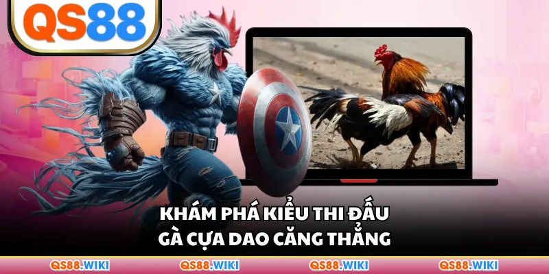 Khám phá kiểu thi đấu gà cựa dao căng thẳng